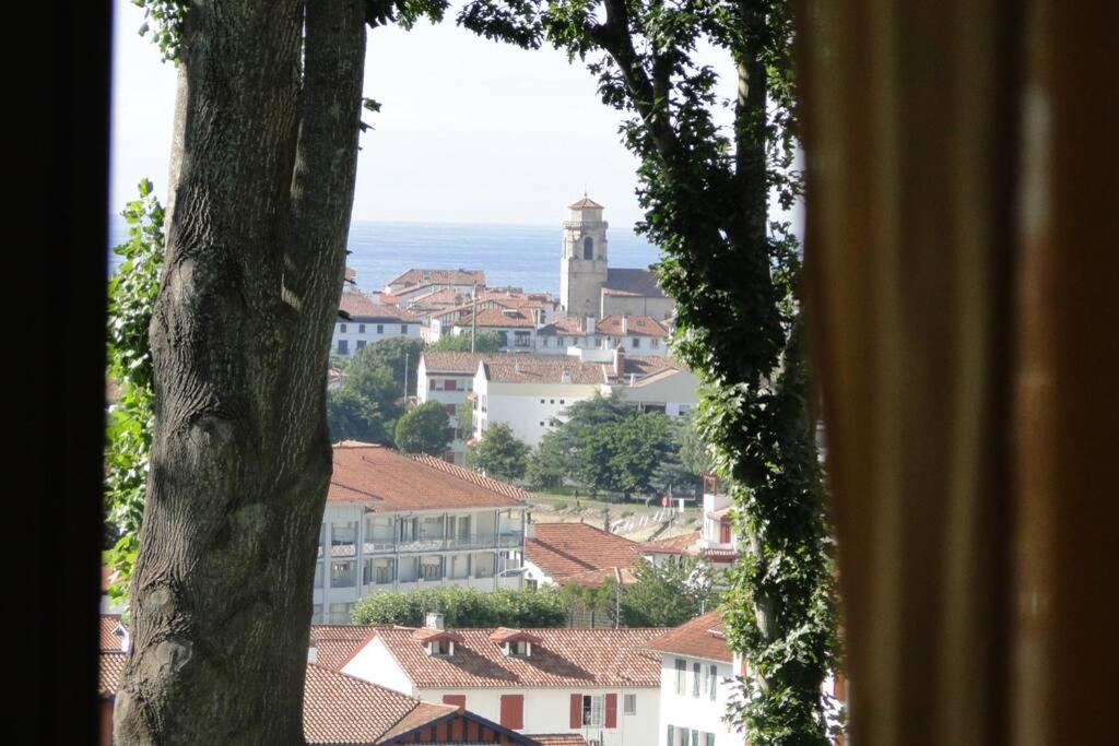 Ciboure:T2, Proximite Golf Et Plages, Vue Sur Mer Zewnętrze zdjęcie